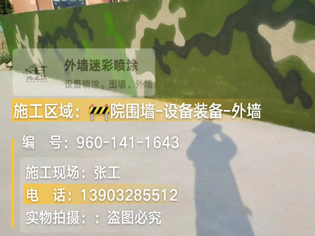文昌 迷彩漆喷涂价格（按平方米计费）